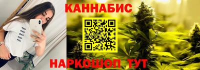 крисы Аргун