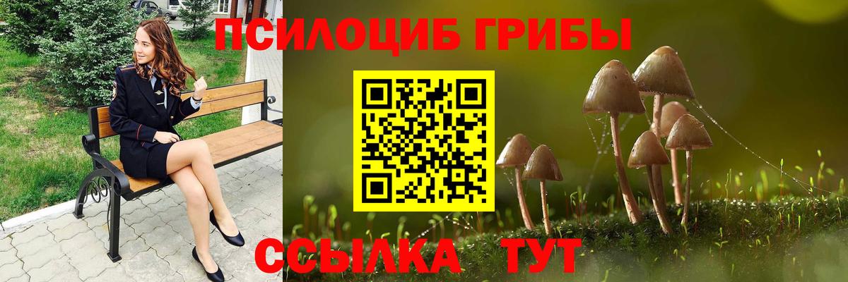 Галлюциногенные грибы Cubensis Волжск