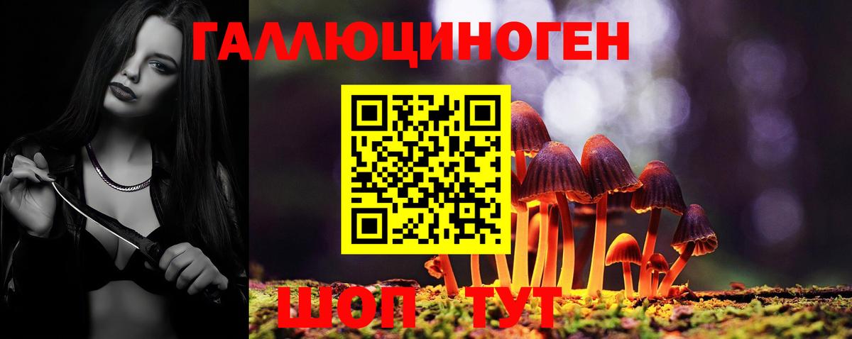 Волжск  Псилоцибиновые грибы MAGIC MUSHROOMS  Вход с VPN 